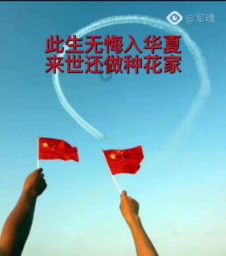 逃离诡异之林