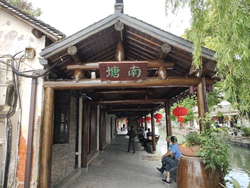 哈尼和她的宠物们